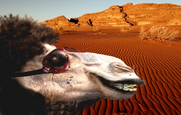 Creation of Ugly Betty of the Desert: Step 10